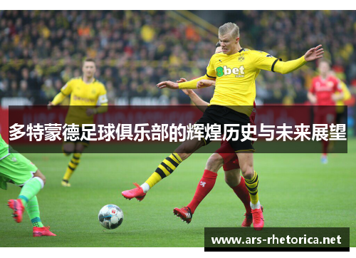 多特蒙德足球俱乐部的辉煌历史与未来展望